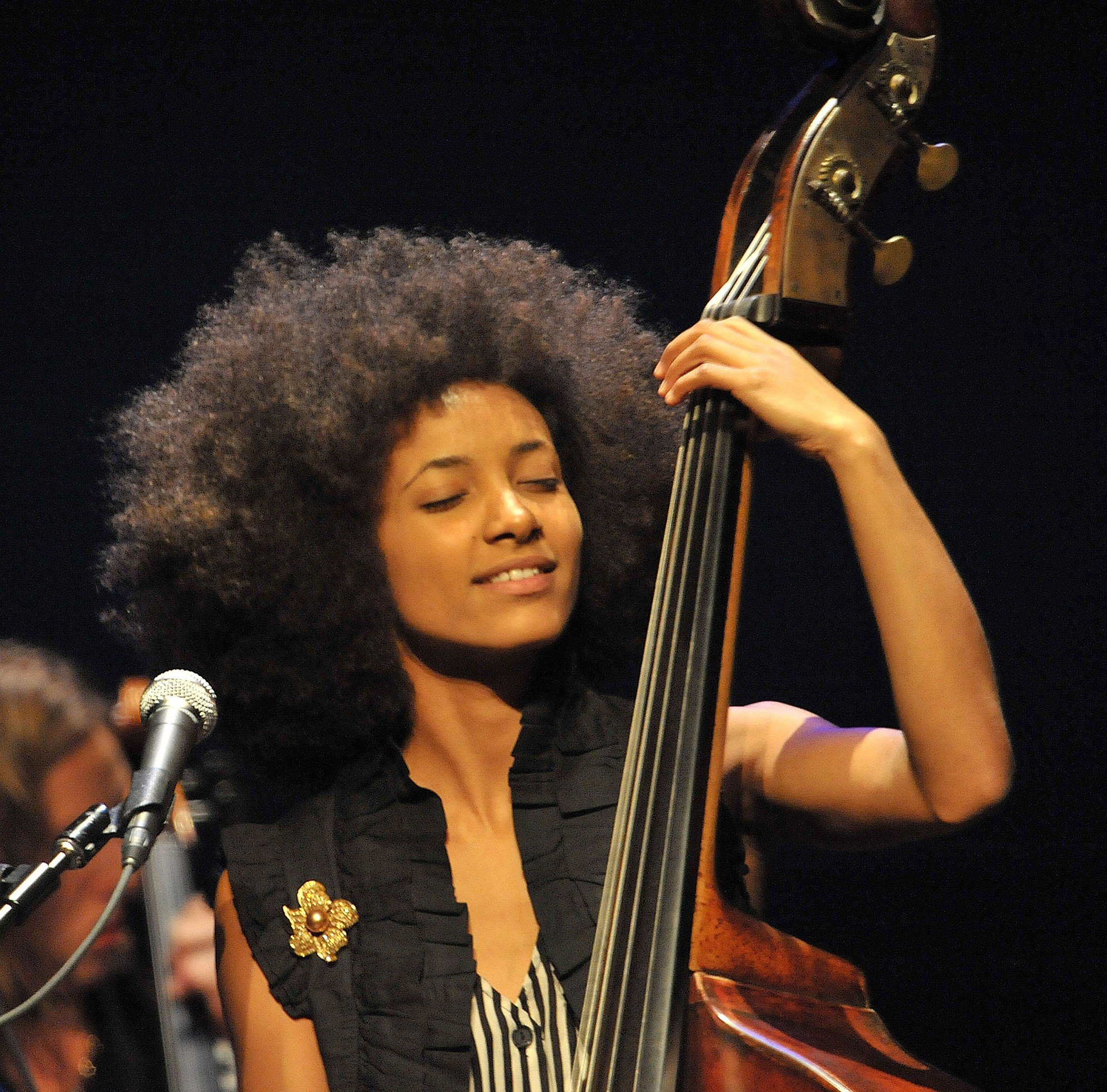 Жанры негритянской музыки. Esperanza Spalding. Эсперанса Сполдинг джаз. Джаз певица афроамериканка. Esperanza Spalding Live Copenhagen 2007.