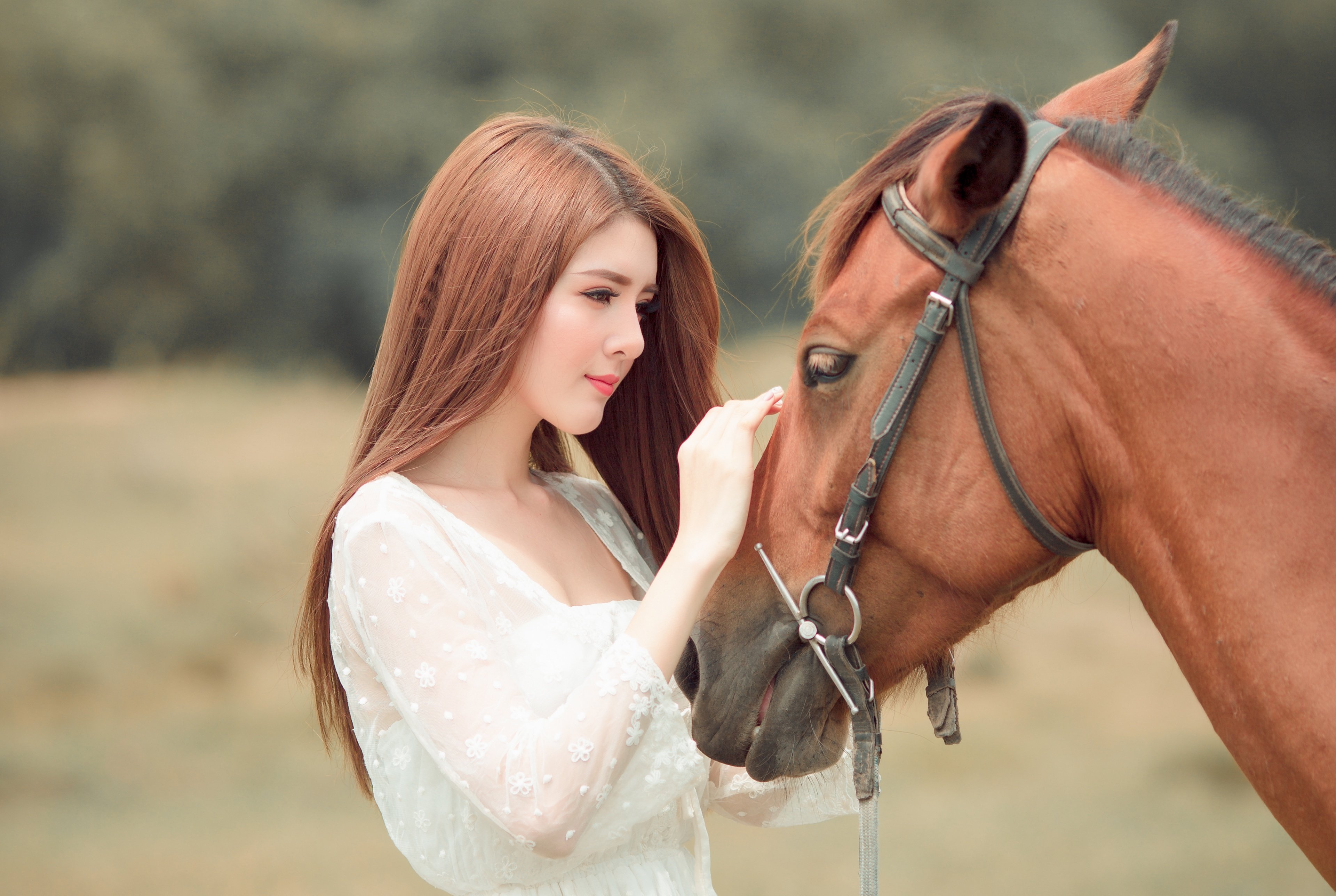Негритянку конем. Девушка с лошадью. Фотосессия с лошадьми. Милые лошади. Рыжая девушка на лошади.