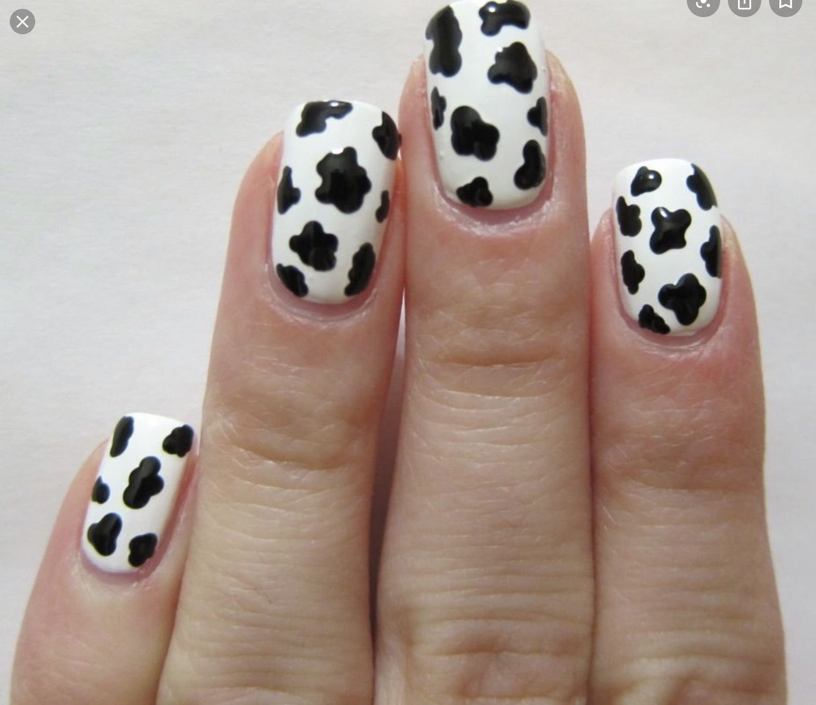 Дизайн коровка. Ногти в стиле коровы. Ногти коровка. Маникюр с коровьими пятнышками. Маникюр с узором коровы на короткие ногти.