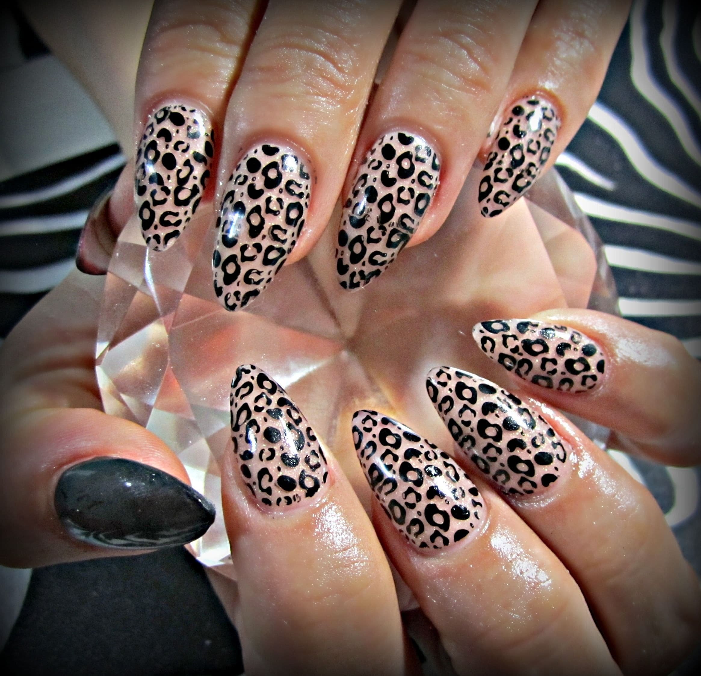 Дизайн леопард на ногтях. Леопардовый френч 2021. Степпинг леопардовый. Маникюр с леопардовым принтом. Ногти леопард.