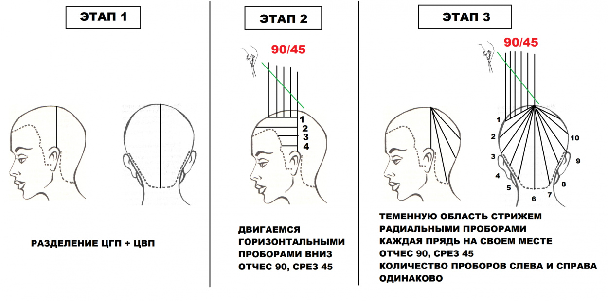 Каскад схема стрижки теменной зоны