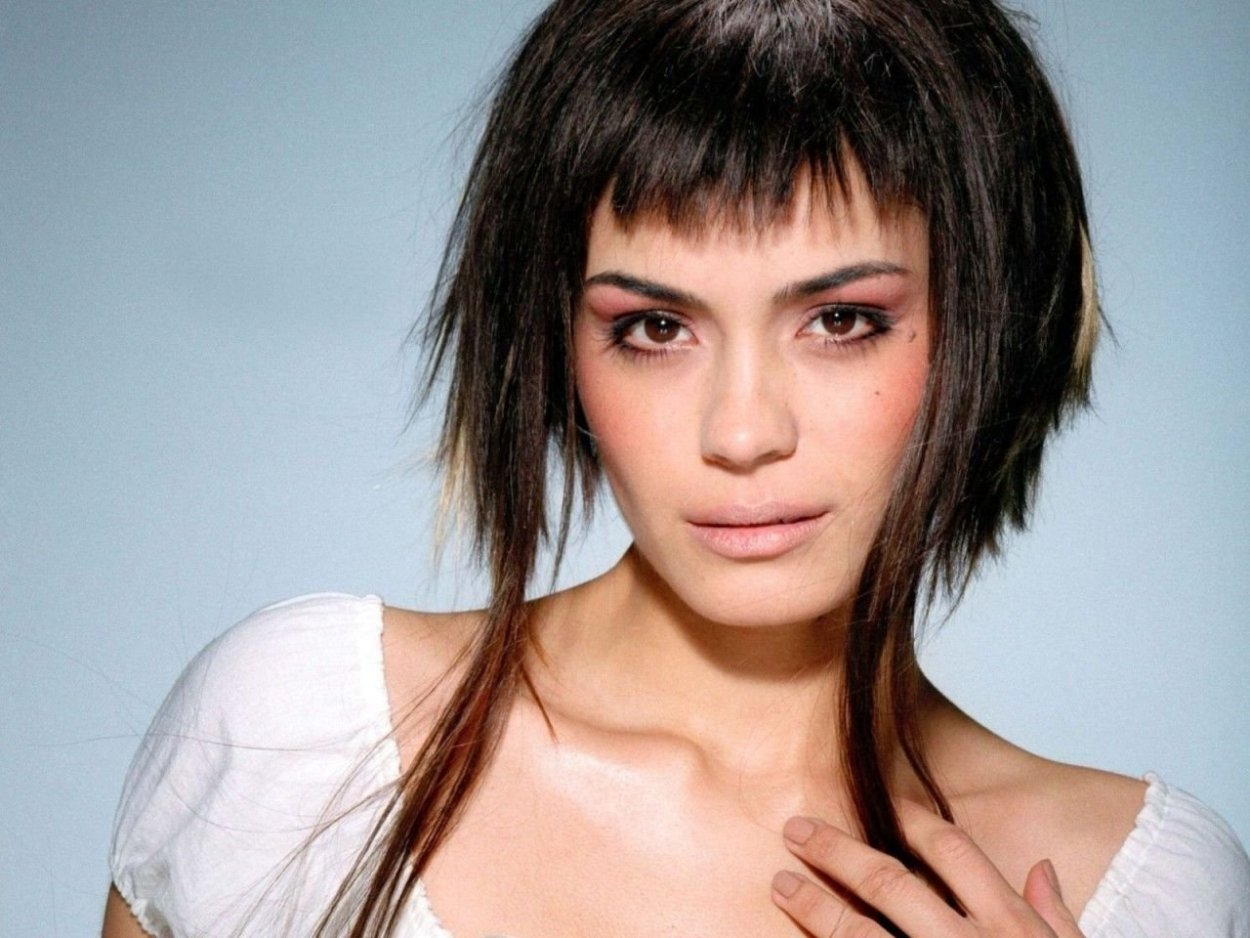 Pixie Bob ирокез