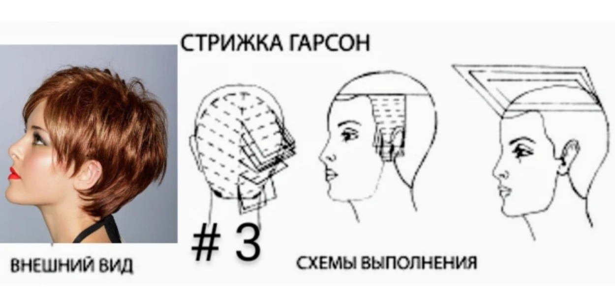 Женская короткая стрижка технология выполнения. Схема стрижки Боб каре градуированное. Стрижка Гарсон схема выполнения стрижки. Сэссун стрижка схема выполнения. Стрижка Гарсон технология стрижки схема.
