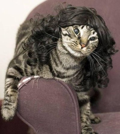 Кошечка прическа